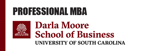 Professional MBA